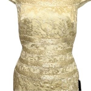 IziLady Dress Size 12